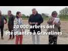 À Gravelines, une forêt se forme