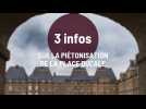 Trois infos sur la piétonisation de la place Ducale