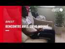 VIDÉO. Stade Brestois : Steve Mounié revient sur sa saison, entre satisfaction et remise en question