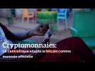 Cryptomonnaies: la Centrafrique adopte le Bitcoin comme monnaie officielle