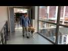 Lapugnoy : David Descharles, malvoyant, appelle au soutien pour les écoles de formation des chiens guides