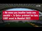VIDÉO. « Ne venez pas insulter toute une société », le Qatar prévient les fans LGBT