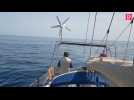 Aude : reportage en mer avec l'ONG qui recense les espèces marines avant l'arrivée des éoliennes flottantes en 2023