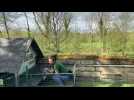 La course de lapin du potager des princes