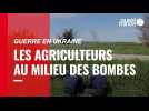 VIDÉO. Guerre en Ukraine : les agriculteurs doivent travailler au milieu des bombes