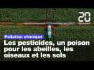 Les pesticides, un véritable poison pour les abeilles, les oiseaux et les sols