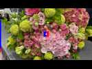 Fête des mères. Quelle fleur chère ?