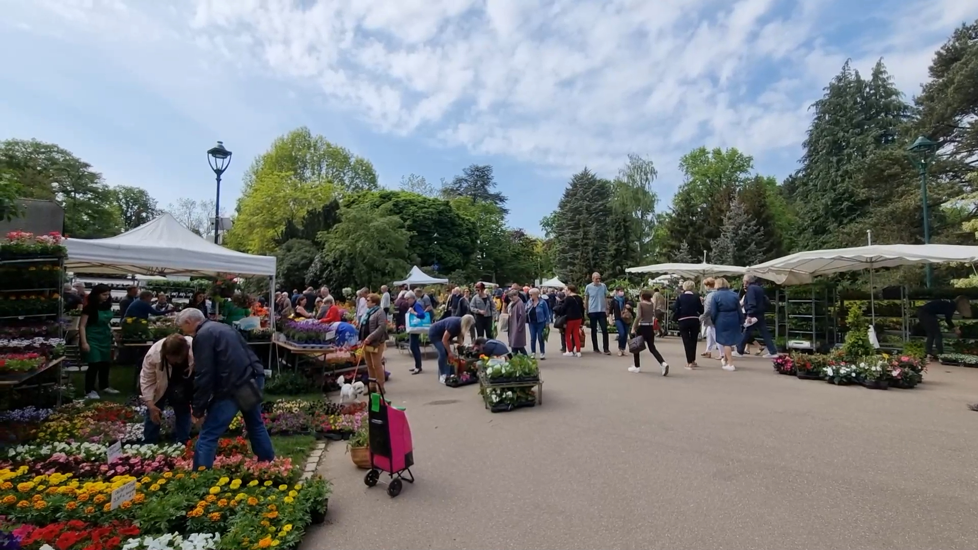 Fête Des Plantes Parc Sainte Marie Nancy 2022 Nancy. Les jardiniers fêtent la nature au parc Sainte-Marie