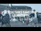 Des cultures dans tous leurs états