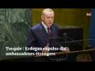 Turquie : Erdogan expulse dix ambassadeurs étrangers
