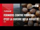 VIDÉO. Fermiers turcs contre Ferrero : la guerre de la noisette est déclarée