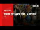 Angers : Terra Botanica à l'heure de la fête de l'Automne