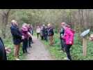 Beuvry : promenade dans les bois du bien-être