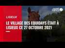 Le village des Equidays en place à Lisieux