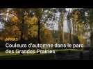Arras : couleurs d'automne dans le parc des Grandes Prairies