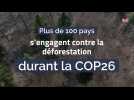 Plus de 100 pays s'engagent contre la déforestation durant la COP26