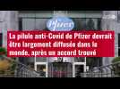 VIDÉO. La pilule anti-Covid de Pfizer devrait être largement diffusée dans le monde