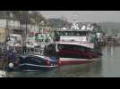 En Baie de Seine, les pêcheurs sans licences regrettent les eaux anglaises