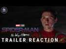 'Spider-Man: No Way Home' Official Trailer Reaction & Breakdown