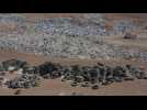 Chili: dans le désert d'Atacama, le cimetière toxique de la mode textile jetable