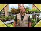 Tony Charrier - agent relation clientèle Agrivillage - CAVAC