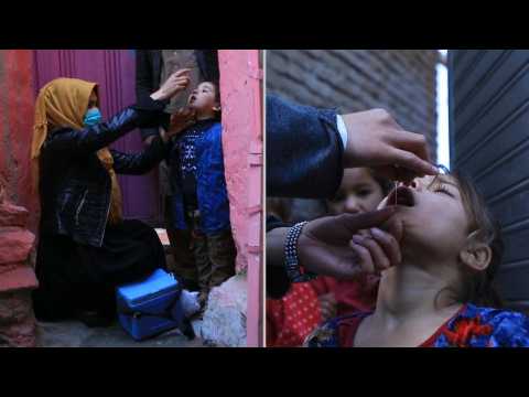Afghanistan begins first polio vaccine drive under Taliban rule