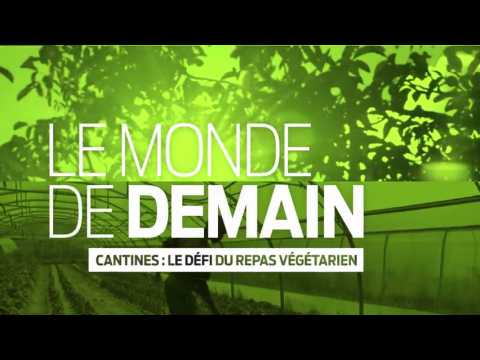 Le Monde de Demain | Des repas végétariens à la cantine