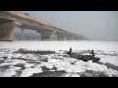 Inde : une mousse toxique recouvre la rivière Yamuna