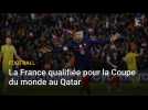 L'équipe de France qualifiée pour la Coupe du monde de football au Qatar