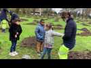 Plantation d'arbres par les écoliers nîmois.