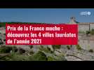VIDÉO. Prix de la France moche : découvrez les 4 villes lauréates de l'année 2021