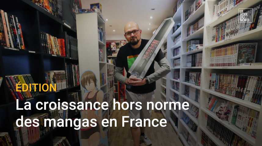 Le manga tire toujours le marché du livre en France, mais des inquiétudes  pointent