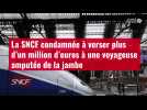 VIDÉO. La SNCF condamnée à verser plus d'un million d'euros à une voyageuse amputée de la jambe