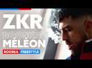 ZKR | Freestyle Booska'méléon