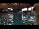 Water-polo Coupe de Belgique: but sur penalty de Numa Matthys (ENL) 1-2