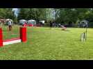 concours d'agility