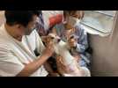 Who the let the dogs out: Japan bullet train provides pet-friendly ride