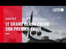 VIDEO. Le grand Héron de la compagnie la Machine a réussi son premier vol à Nantes