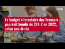 VIDÉO. Le budget alimentaire des Français pourrait bondir de 224 ¬ en 2022, selon une étude