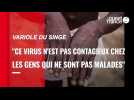 VIDEO. Que sait-on de la variole du singe ? Les réponses du professeur rennais Pierre Tattevin