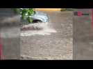 Uccle : Inondations avenue de Fré