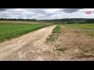 Un labyrinthe de maïs va être créé au milieu des champs à côté d'Amiens