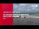 Le sauvetage sportif international a rendez-vous entre Dinard et Saint-Malo