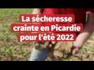 La sécheresse crainte en Picardie pour l'été 2022