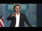 Matthew McConaughey urges 'gun responsibility' at White House podium