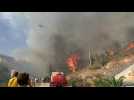 Grèce: évacuations dans la périphérie d'Athènes suite à un incendie de forêt