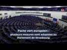 Pacte vert européen : plusieurs mesures sont adoptées au Parlement de Strasbourg