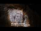 Marseille : Ouverture de la grotte Cosquer