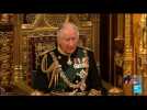 Jubilé de la reine : quel avenir pour la monarchie après Elizabeth II ?