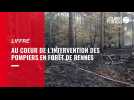 VIDÉO. Incendie en forêt de Rennes : au coeur de l'intervention des pompiers
